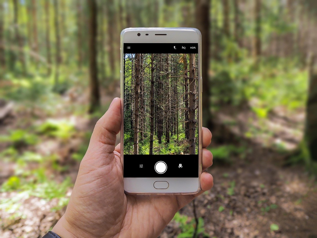 OnePlus 11 Pro Offers Stunning Visuals (image credits: pixabay)