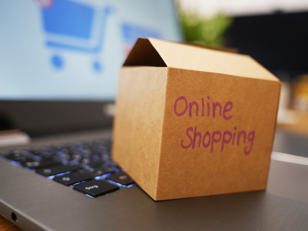 Suspicious Prices Send a Silent Warning Signal (image credits: pixabay)